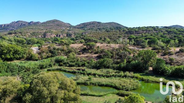 Maison à vendre 15 pièces 736 m² Le Muy