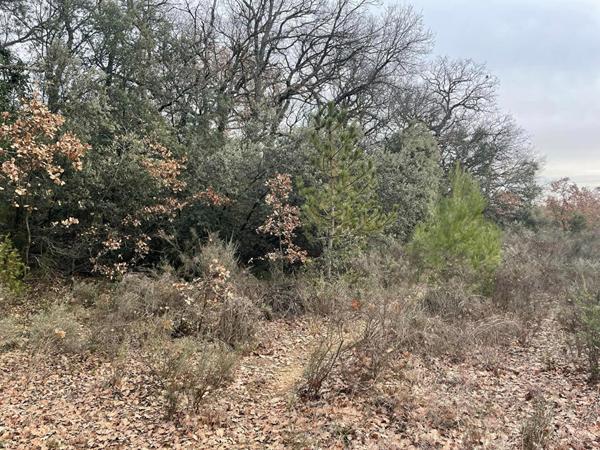 Terrain en zone naturelle Mazan 47 000 m2