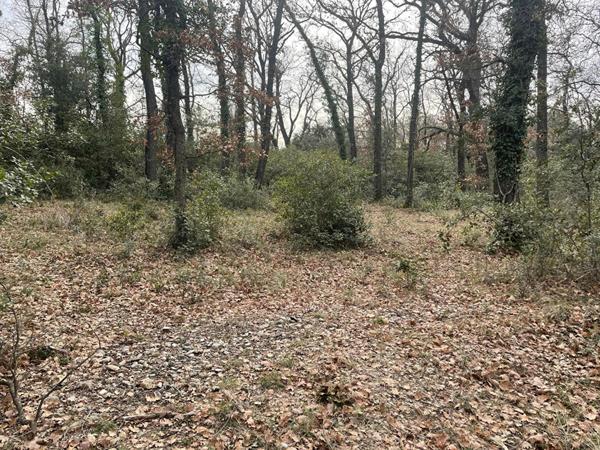 Terrain en zone naturelle Mazan 47 000 m2