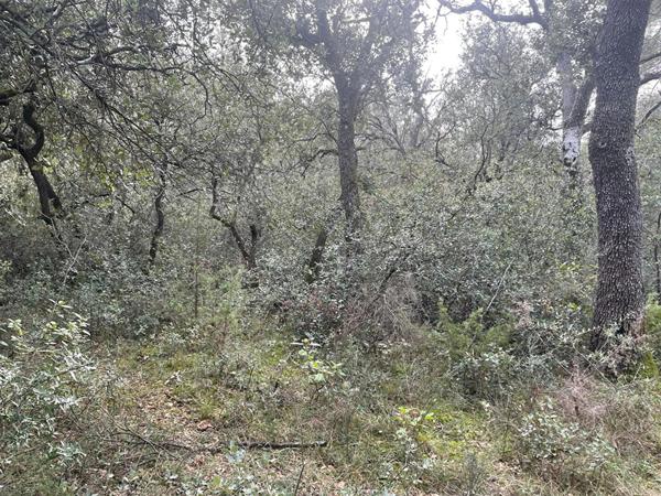 Terrain en zone naturelle Mazan 47 000 m2