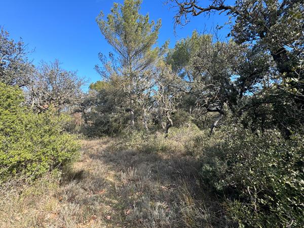 Terrain en zone naturelle Mazan 47 000 m2