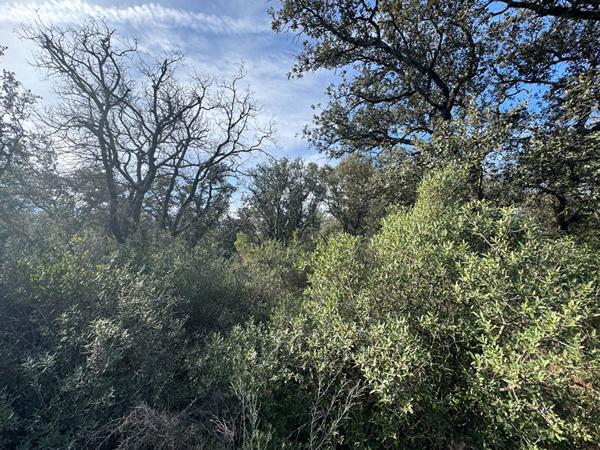 Terrain en zone naturelle Mazan 47 000 m2