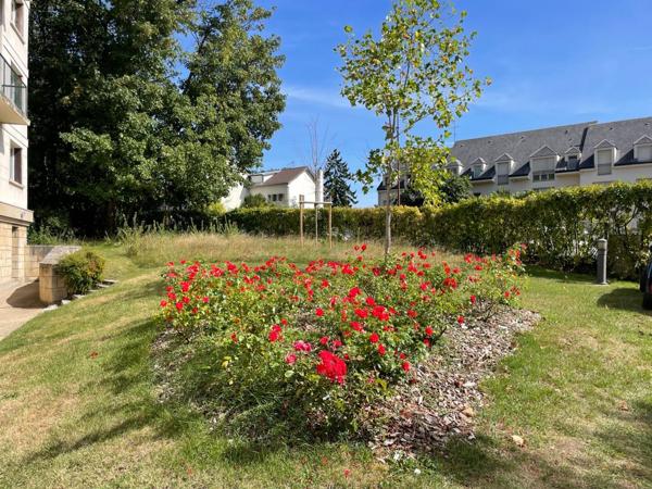 Versailles (78000) Studio étudiant - Quartier Clagny Glatigny - UVSQ