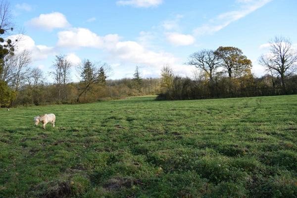 L'Agence Wimereusienne par Propriétés-Privees.com vous propose