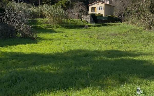 Terrain à vendre    Carros