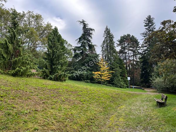 Appartement Lyon 9ème, 5 pièce(s) 87 m2