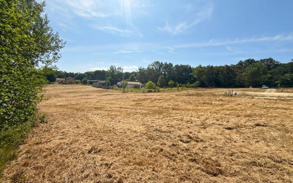Terrain à vendre