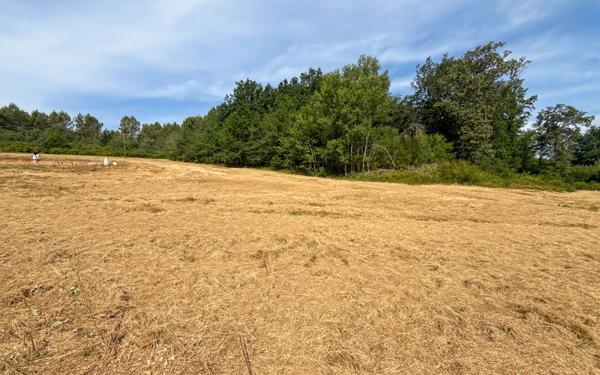 Terrain à vendre