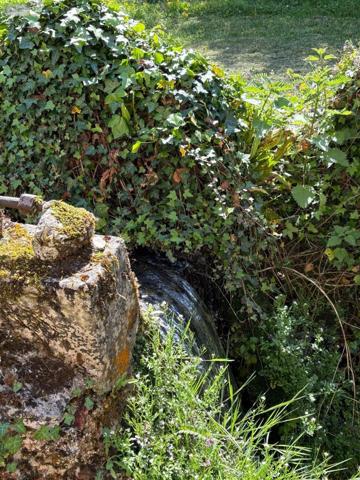Maison de maître à vendre à Orbais-l'Abbaye dans la Marne (51270), ref : MAISON DE MAITRE A ORBAIS L'ABBAYE