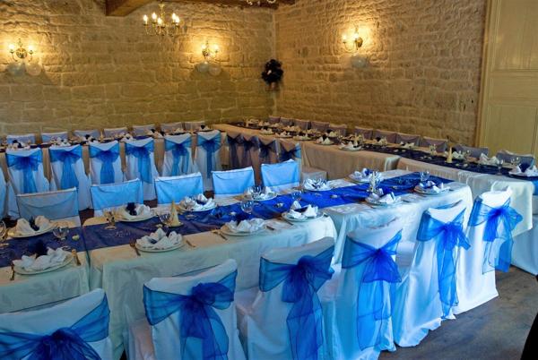Château avec piscine chauffée, vastes dépendances, possibilité chambres d'hôtes Chef boutonne