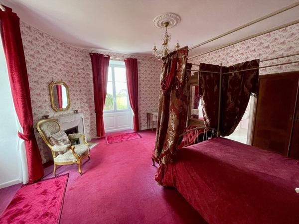Château avec piscine chauffée, vastes dépendances, possibilité chambres d'hôtes Chef boutonne