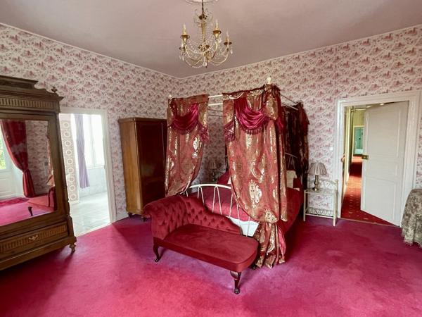 Château avec piscine chauffée, vastes dépendances, possibilité chambres d'hôtes Chef boutonne