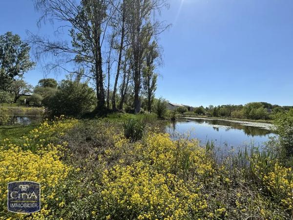 Maison à vendre 5 pièces 250m² Neuvy-Pailloux (36100)