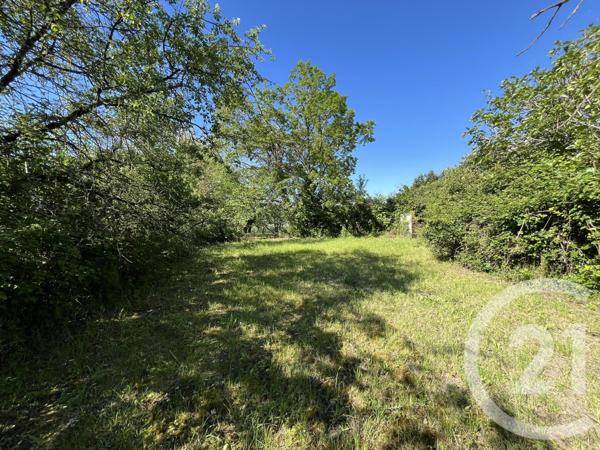 Maison à vendre  10 pièces - 474,24 m2 LABESSIERE CANDEIL - 81