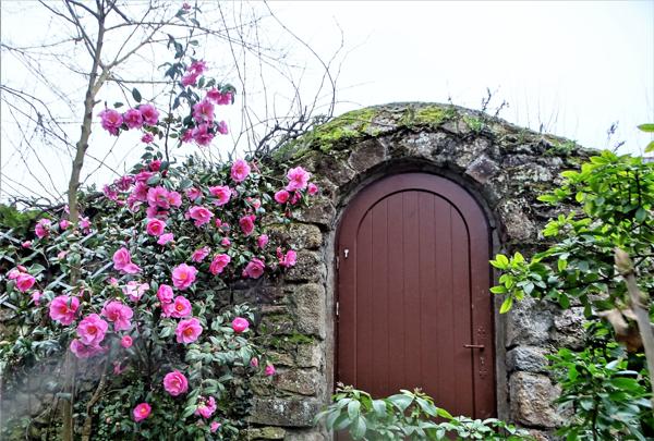 Maison 9 pièces - 251 m² Exclusivité efficity