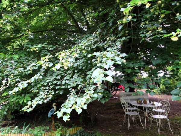 Maison 9 pièces - 251 m² Exclusivité efficity