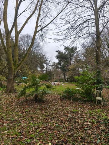 Maison 9 pièces - 251 m² Exclusivité efficity