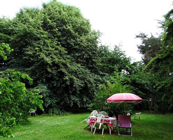 Maison 9 pièces - 251 m² Exclusivité efficity