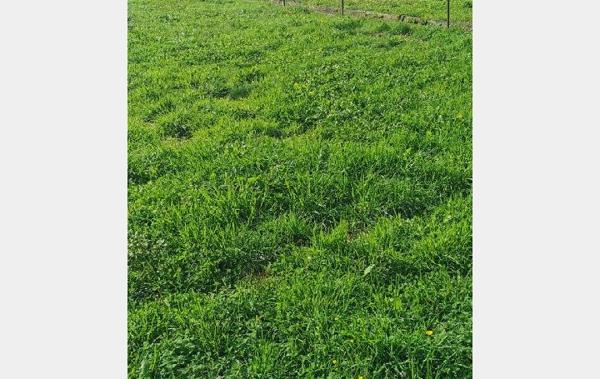 Vente Maison Aixe-sur-vienne   