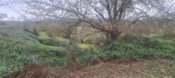 Corps de ferme Gorges 80 M² sur terrain de plus 3000 M²