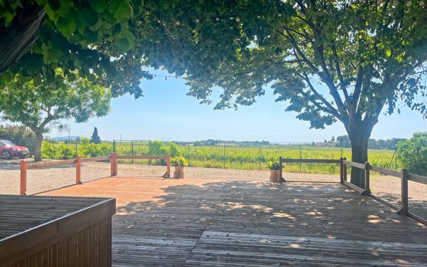 Maison à vendre    18 pièces •  Marseillan