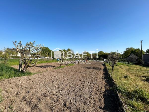 Terrain constructible