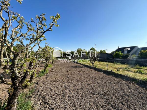 Terrain constructible