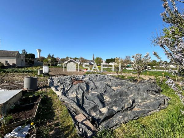 Terrain constructible