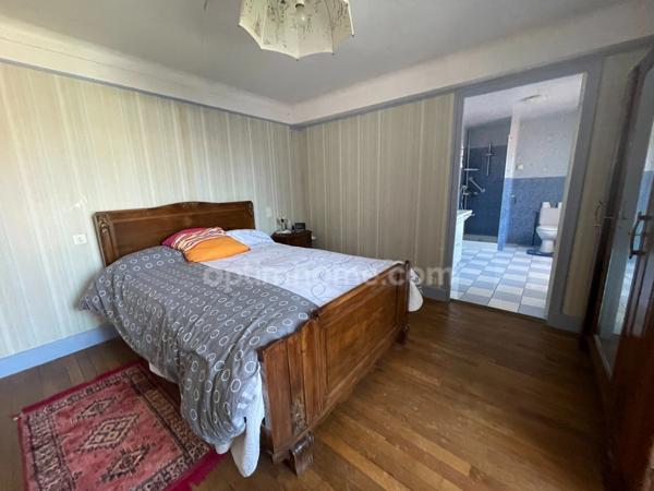 ensemble immobilier sur 1700m2 avec deux maisons, grange atelier jardin et puits