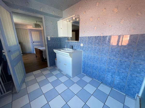 ensemble immobilier sur 1700m2 avec deux maisons, grange atelier jardin et puits