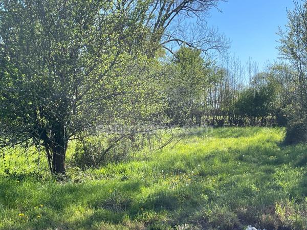 ensemble immobilier sur 1700m2 avec deux maisons, grange atelier jardin et puits