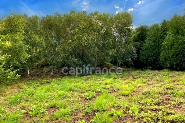 BAIN-DE-BRETAGNE : Terrain