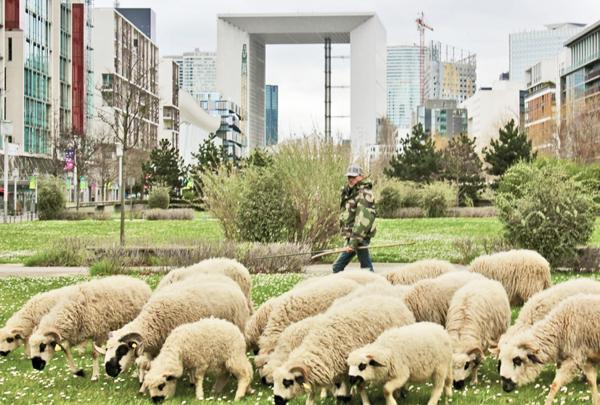 Nanterre (92000) Appartement de 85,64 m² avec balcon de 10,40 m² et parking souterrain en sous sol pour 420 000 € HAI