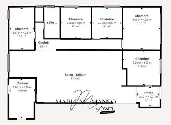 Proche tram 153 m² avec jardin, garage et sous-sol