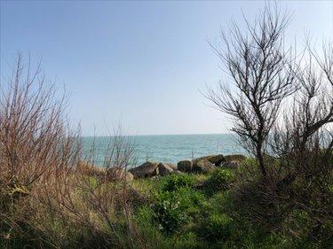 Bien agricole à vendre à Réville dans la Manche (50760), ref : 3374