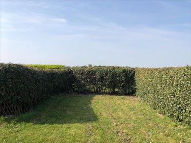 Bien agricole à vendre à Réville dans la Manche (50760), ref : 3374