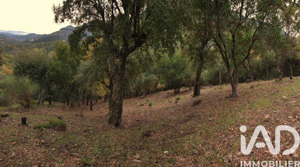 Terrain à vendre 1 000 m² Les Adrets-de-l'Estérel