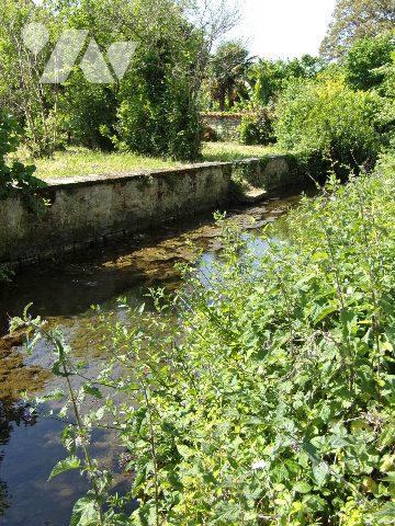 MAISON - PISCINE SUR 2381 m² de TERRAIN