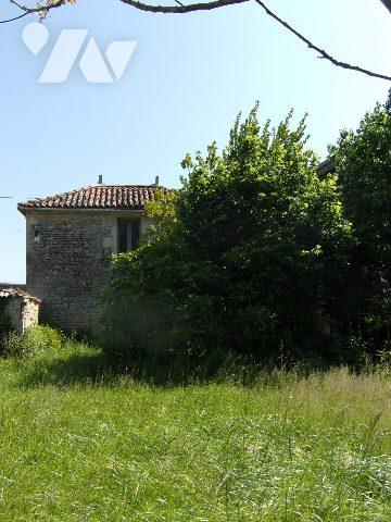 MAISON - PISCINE SUR 2381 m² de TERRAIN