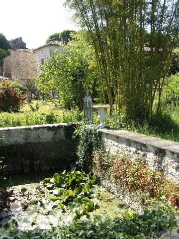 MAISON - PISCINE SUR 2381 m² de TERRAIN
