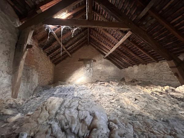 IMMEUBLE DE RAPPORT - MONTAMISE Montamisé (86360)