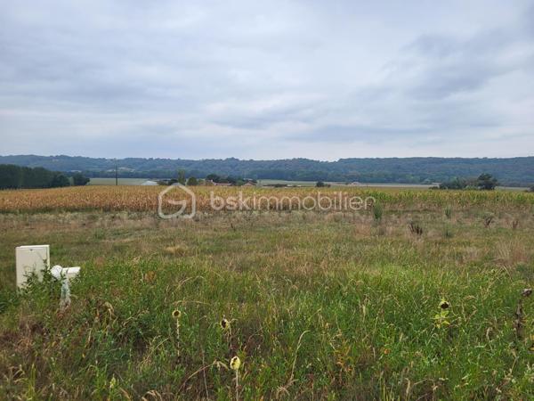 Terrain de 991 m²