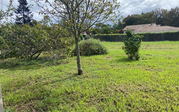 Terrain à vendre    Saint-Martin-de-Seignanx