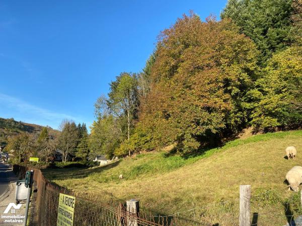 A VENDRE, à mi-chemin entre AURILLAC et MAURIAC (Cantal), un terrain nu comprenant un bâtiment ...