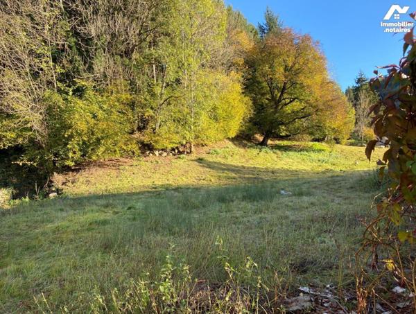 A VENDRE, à mi-chemin entre AURILLAC et MAURIAC (Cantal), un terrain nu comprenant un bâtiment ...