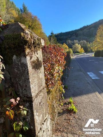 A VENDRE, à mi-chemin entre AURILLAC et MAURIAC (Cantal), un terrain nu comprenant un bâtiment ...