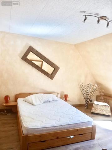 Achat - Maison Ballan-Miré 37510 211 m 2 1174 m 2