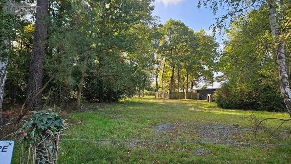 Achat - Terrain à bâtir | Terrain à bâtir La Suze-sur-Sarthe 72210 1500 m 2 1500 m 2