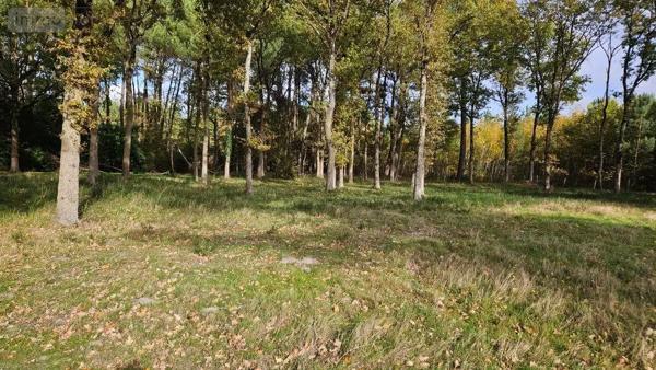 Achat - Terrain à bâtir | Terrain à bâtir La Suze-sur-Sarthe 72210 1500 m 2 1500 m 2