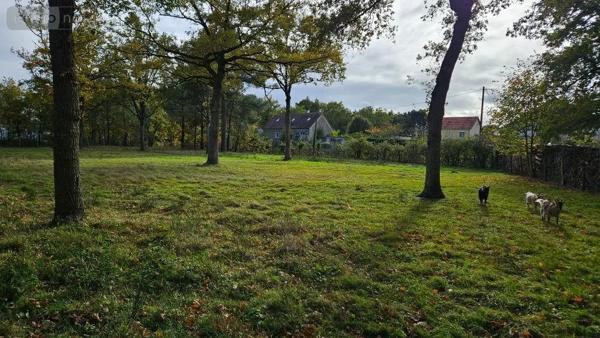 Achat - Terrain à bâtir | Terrain à bâtir La Suze-sur-Sarthe 72210 1500 m 2 1500 m 2